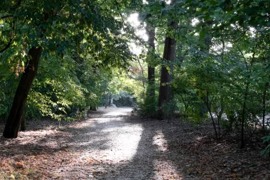 Parc Bordelais (7).